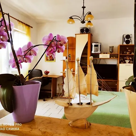 Topic * Башка-Вода