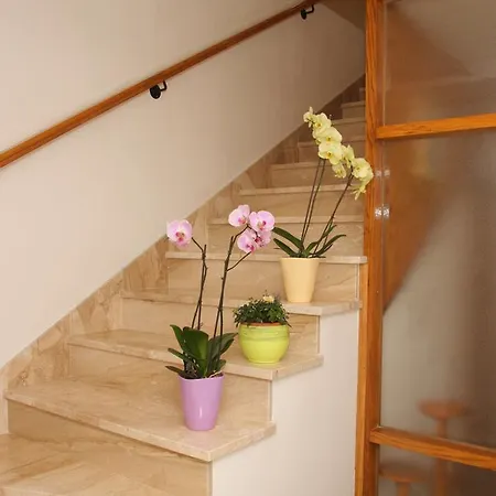 Апартаменты Topic Башка-Вода